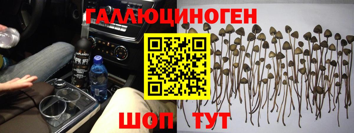 Галлюциногенные грибы Magic Shrooms Красноуфимск